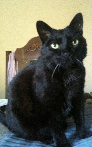 Hedda at age 14, in 2010