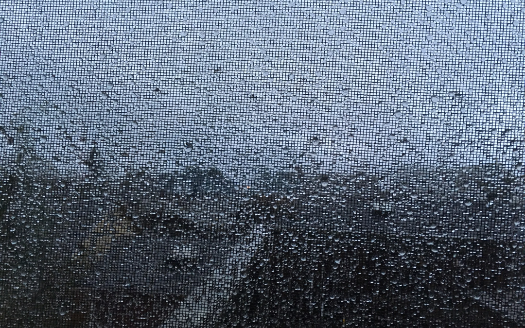 The Long Darkness of Winter