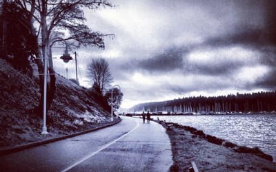 Lessons from the Weather